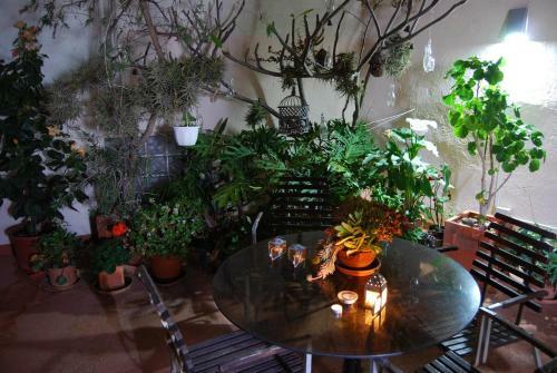 Casa Tesalia