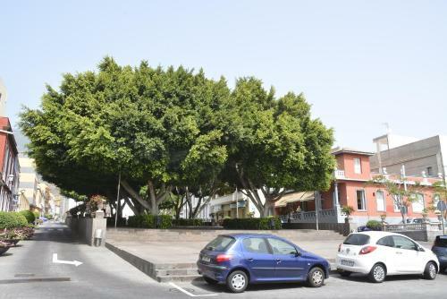 Apartamento Y �tico Zona Rural