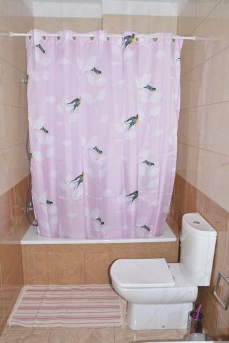 Apartamento Y �tico Zona Rural