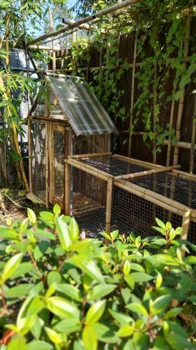 Apartamento Nh� C?a Ng?ng - Goose Home