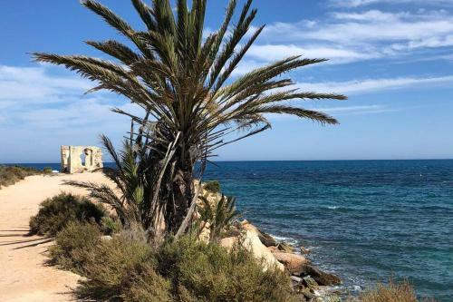Apartamento Oasis Beach Dream Holiday