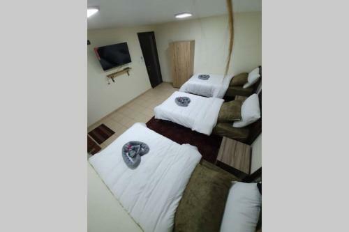 Apartamento Comfy Snow Night