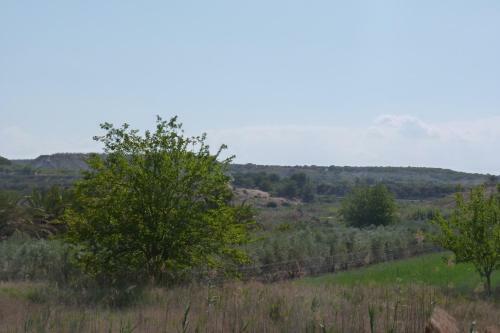 Altos Del Eden