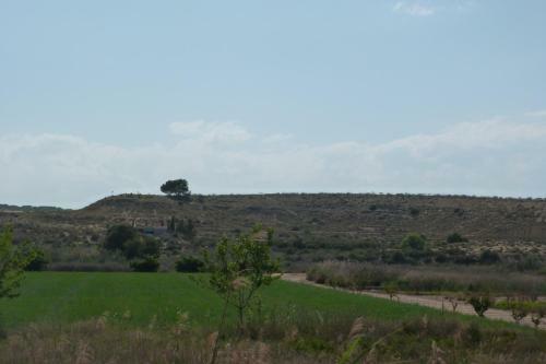 Altos Del Eden