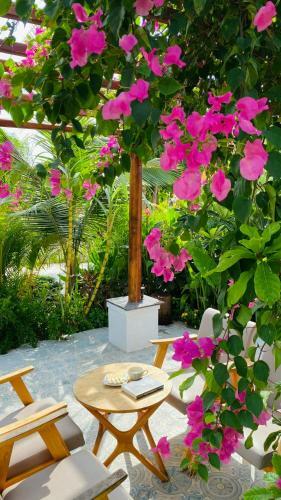 Apartamento Coco Beach House