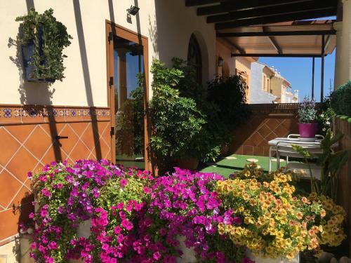 Apartment With Private Patio