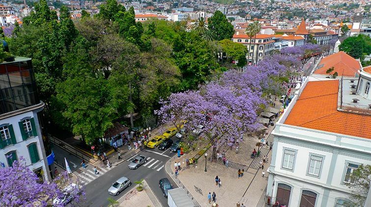 Hotel Do Centro