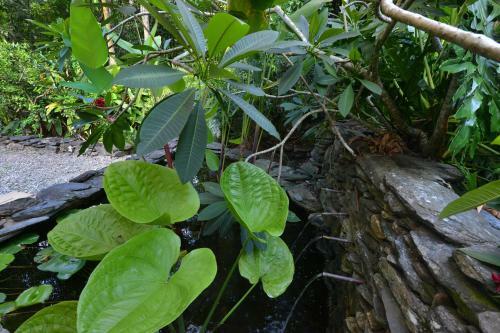 Villa Port Douglas Valley Retreat