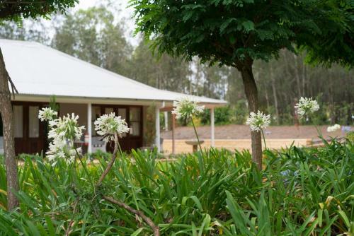 Bed & Breakfast Thistle Hill Guesthouse