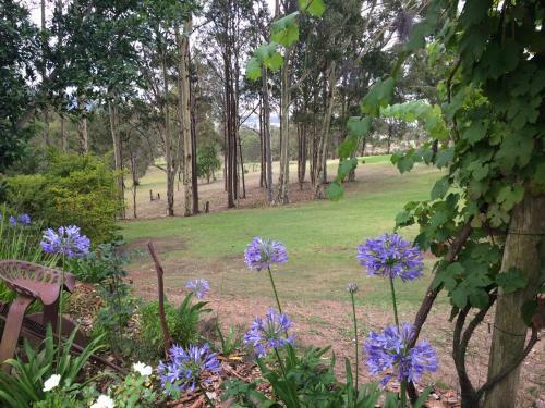 Hostal Elfin Hill Country Accommodation