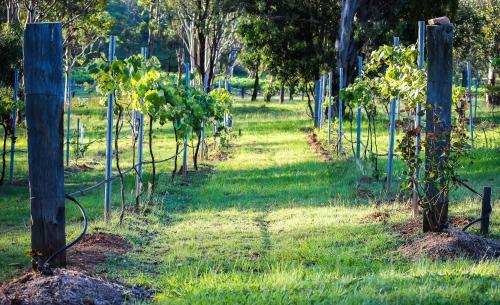Hostal Elfin Hill Country Accommodation