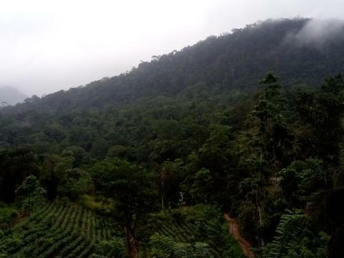 Hostal Evergreen Villa - Sinharaja