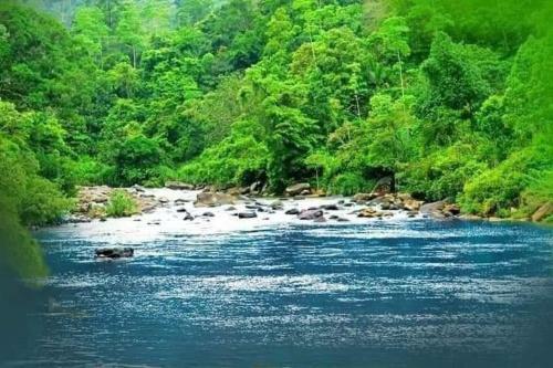 Hostal Evergreen Villa - Sinharaja
