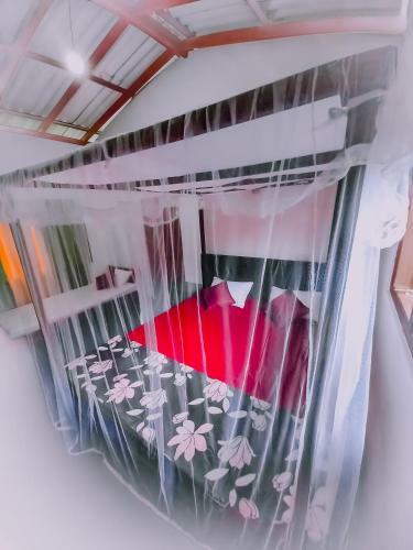 Hostal Rainforest River Bay