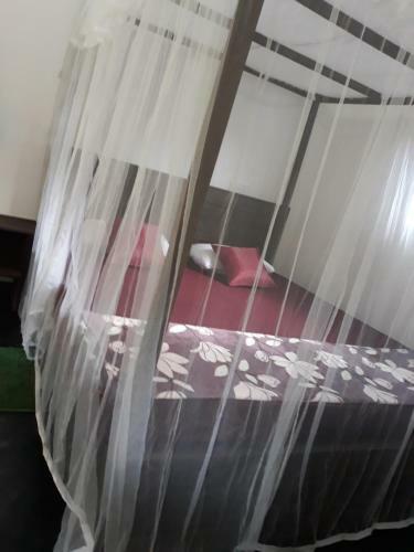 Hostal Rainforest River Bay