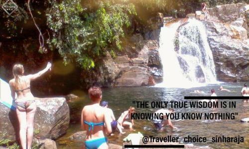 Traveller's Choice Sinharaja
