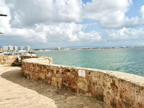 Unique Crusader Apartment In Old Acre