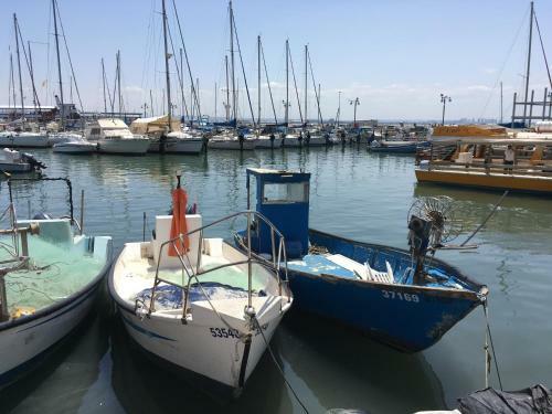 Acre New 3 Bedrooms Beachfront Apartment