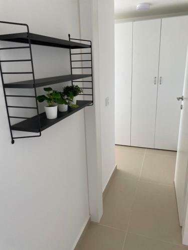 Acre New 3 Bedrooms Beachfront Apartment