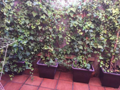 Apartamento Bonito Piso Centro De Los Boliches