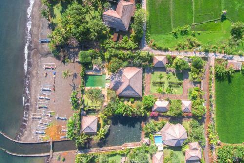 Villa Lotus Dencarik