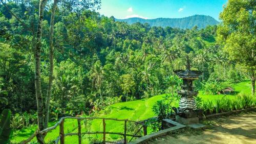Buda's Homestay Lemukih
