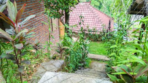 Buda's Homestay Lemukih