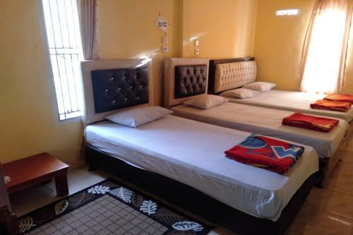 H Tasman Homestay