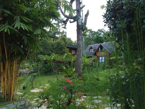 Lodge Canyon Jungle Stay
