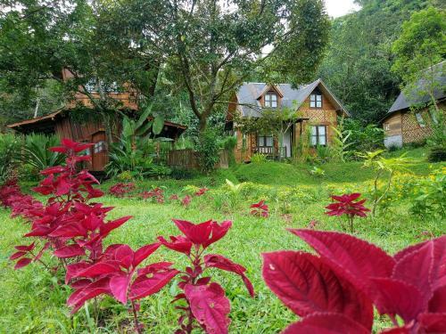 Lodge Canyon Jungle Stay