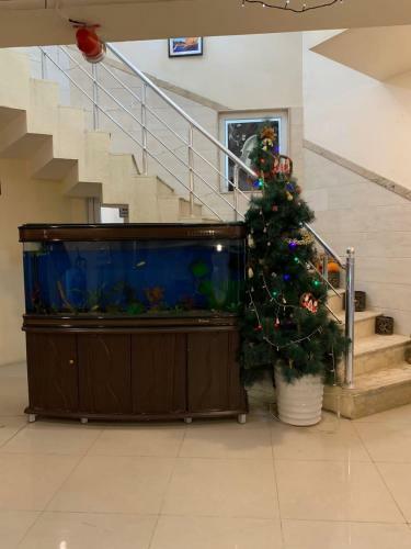 Hotel Royal City - ??????