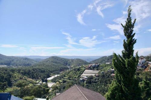 The Fuji Villa (yellow Villa)