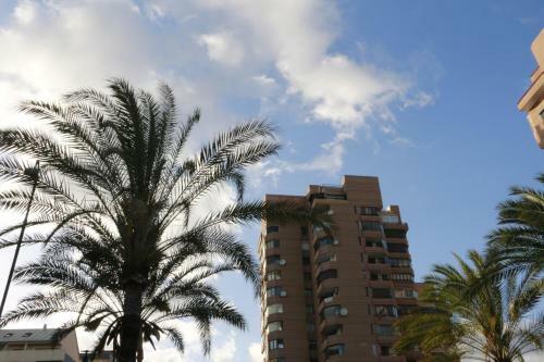 Apartamento Sur Suites Palmeras 2