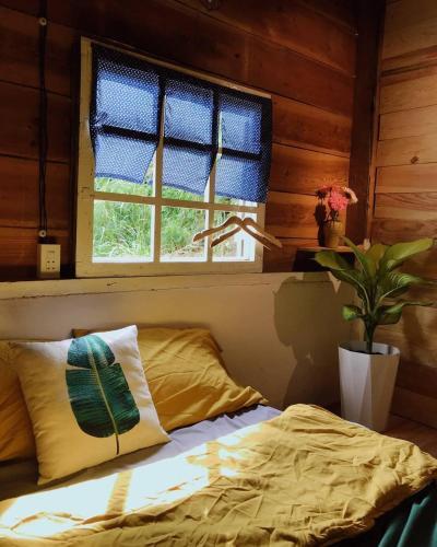 Apartamento Thi�n ???ng N?ng Hoa