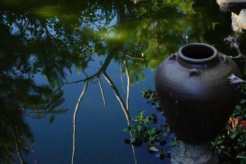Dalat Zen Homestay