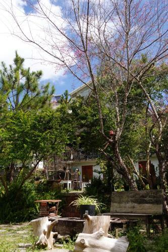 Dalat Zen Homestay