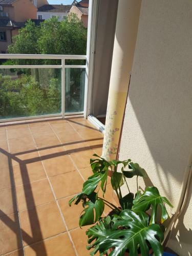 Apartamento Los Pacos