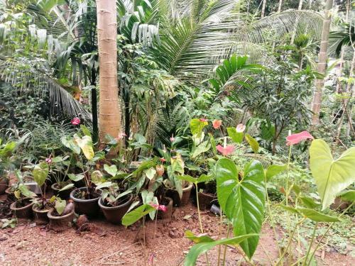 Diya Sisila Holiday Homes