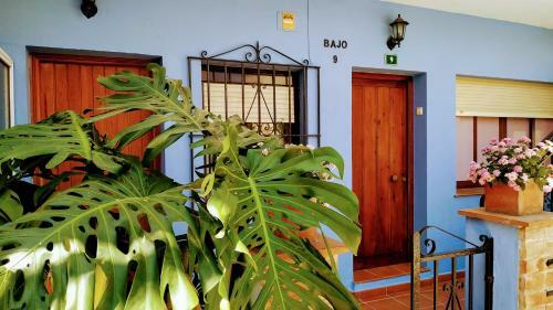 Apartamento Fuengirola Centro