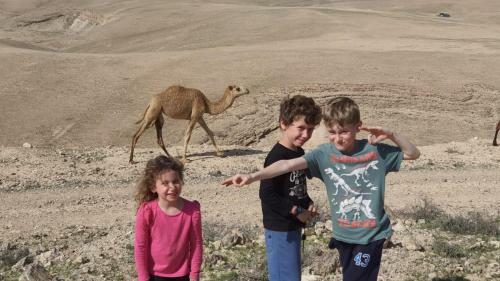 Hostal Sun, Mountain & Adventure