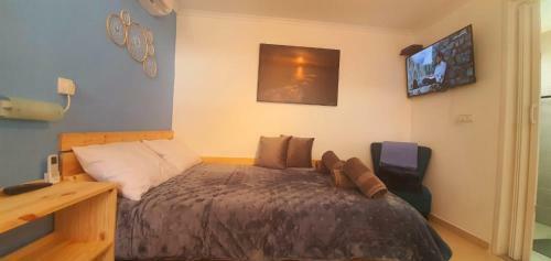 Bed & Breakfast Willowy Tree Tamir