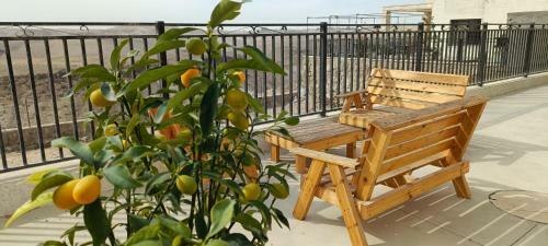 Vastu Dead Sea Apartment
