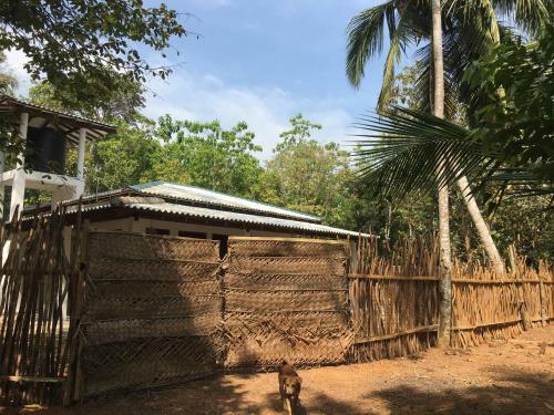 Hostal Cashew Villa Hiriketiya