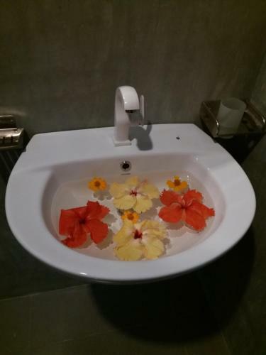 Hostal Cashew Villa Hiriketiya