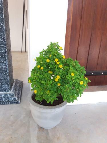 Hostal Cashew Villa Hiriketiya