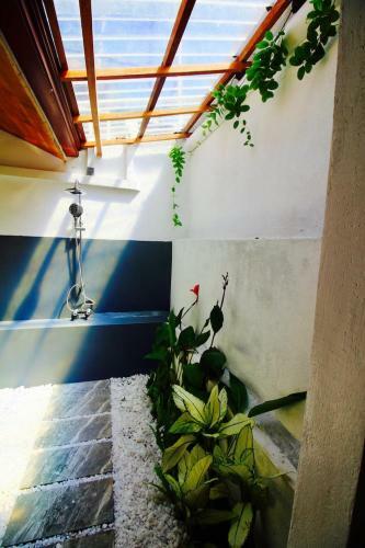 Paradise Cove Villa