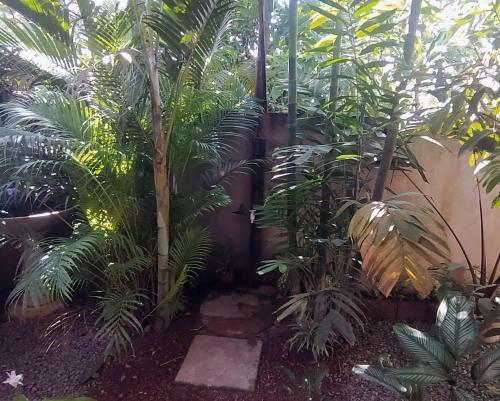 Sand Dollar House, Hiriketiya