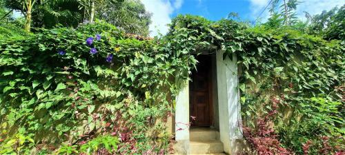 Sand Dollar House, Hiriketiya