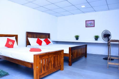 Bed & Breakfast Green Wall House