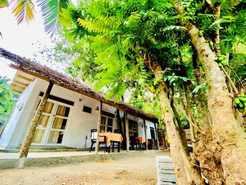 Hotel Hiriketiya Orchid Villa